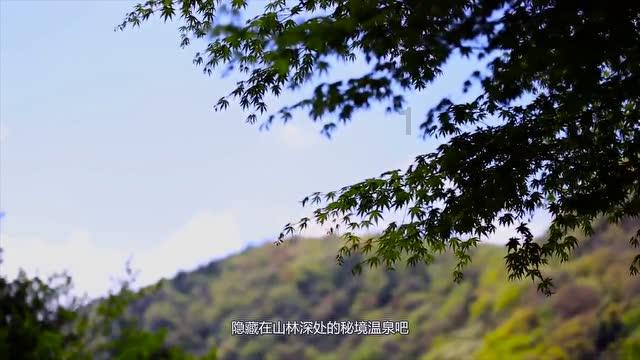 皇室家族