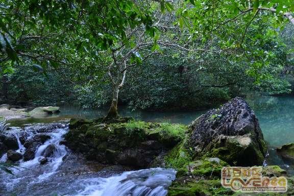 奔驰E级全新插混版实车曝光，车身加长油耗降低，售价或上涨